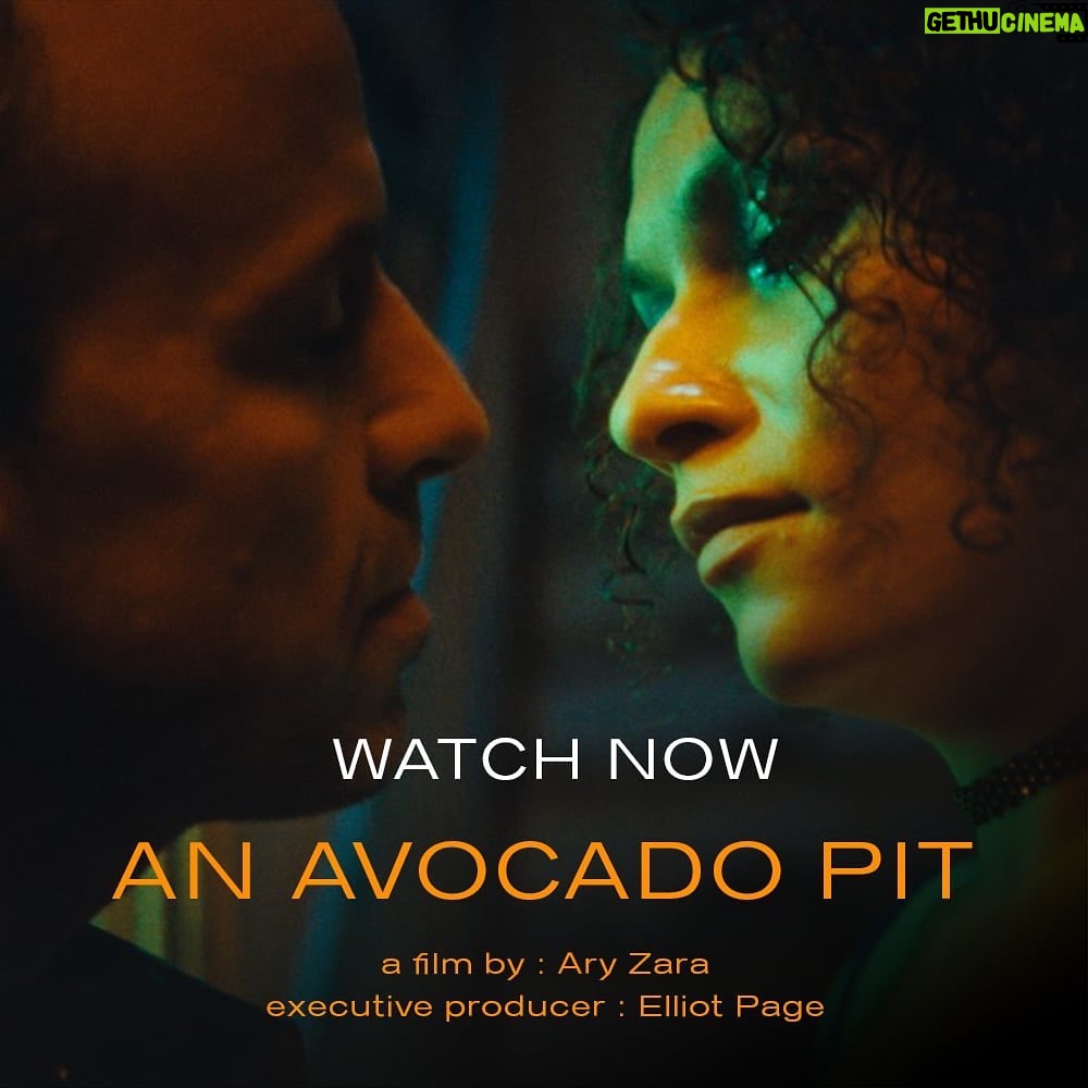 Elliot Page Instagram - Ary Zara makes history as the first trans director who has made it to the Oscars® shortlist in the Best Live Action Short Film category for AN AVOCADO PIT! Watch now at @an.avocado.pit’s link in bio. 80+ selections, 20+ awards/mentions.
Director: @_aryzara_ Production: @andreia_nu, @frederico.sc, @takeiteasyfilm Executive Producer: @pageboy_productions (Elliot Page, @mattjordansmith, @tuckydows) Distribution: @travellingdistribution Publicity: @londonflairpr Cast: @gayademedeiros @ivocanelas
For Your Consideration (Best Live Action Short Film). #ForYourConsideration #AnAvocadoPitShortFilm