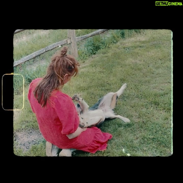 Ellise Chappell Instagram - 🌳 a lovely time in a hut feat. @jessicawarbeck 🪄