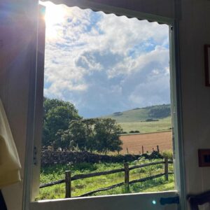 Ellise Chappell Instagram - 🌳 a lovely time in a hut feat. @jessicawarbeck 🪄