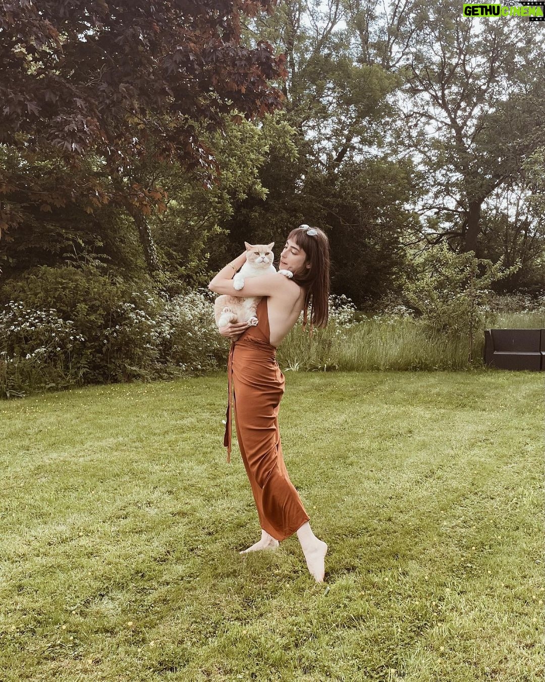 Ellise Chappell Instagram - Me and my reluctant cat