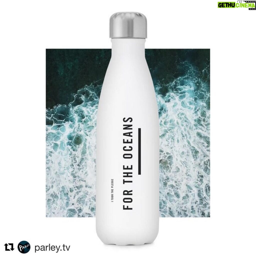 Ellise Chappell Instagram - #Repost @parley.tv with @get_repost ・・・ In the next minute, a million plastic bottles will be purchased around the world. At this rate, over half a trillion plastic bottles are expected to be sold in 2020. 91% of the plastic we produce never gets recycled, and 8 million metric tons of it enters the oceans annually. Parley and @swellbottle are joining forces in the battle against the threat of single-use plastics. Today we launch a series of S’well x Parley bottles - each funds the removal of 10 pounds of marine plastic debris in Island Nations through the Parley Global Cleanup Network. Together we’ll also implement and build on the principles of #ParleyAIR. Avoid. Intercept. Redesign. More details at the bio link. @parley.tv #WorldOceansDay