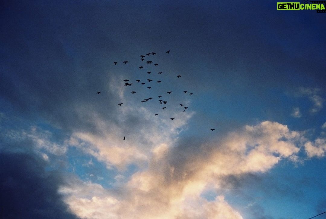 Ellise Chappell Instagram - improving with film!! 📸