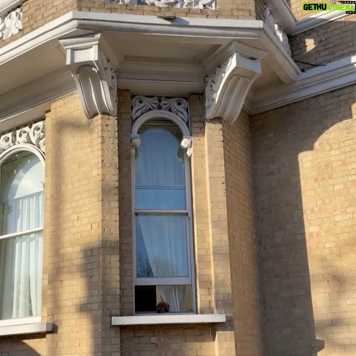 Ellise Chappell Instagram - βοΈπ§£βοΈ β¨πΏπ¨π·π¦π§€π¬π