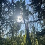 Eloísa Maturén Instagram - Darle voz al sentimiento. Sacarlo del pecho y ponerlo en tinta como un testimonio de lo vivido. Recoger las ilusiones, las angustias, los anhelos, las tormentas que se atascan en el cuello. Escribir aquello que no me atrevo a contarle a nadie. Observar curiosa, sin querer cambiar nada. Poner orden. Descargar lo recurrente, el pensamiento obsesivo que cada tanto regresa. Hacer todas las preguntas, aunque parezca que nunca vas a encontrar la respuesta, no importa. Indagar, inventar un código que solo tú puedas descifrar. La memoria de la travesía, de la piedra con la que volvemos a chocar sorprendidos como si fuera la primera vez. Sonrío, agradezco tanto la aventura de estar viva. Despertar, estar aquí conmigo, sostenerme.  No se sale ileso, se sale más fortalecido. Ilumina el sendero las luces del corazón, como un faro que marca los caminos. ❤️‍🔥 Madrid, Spain