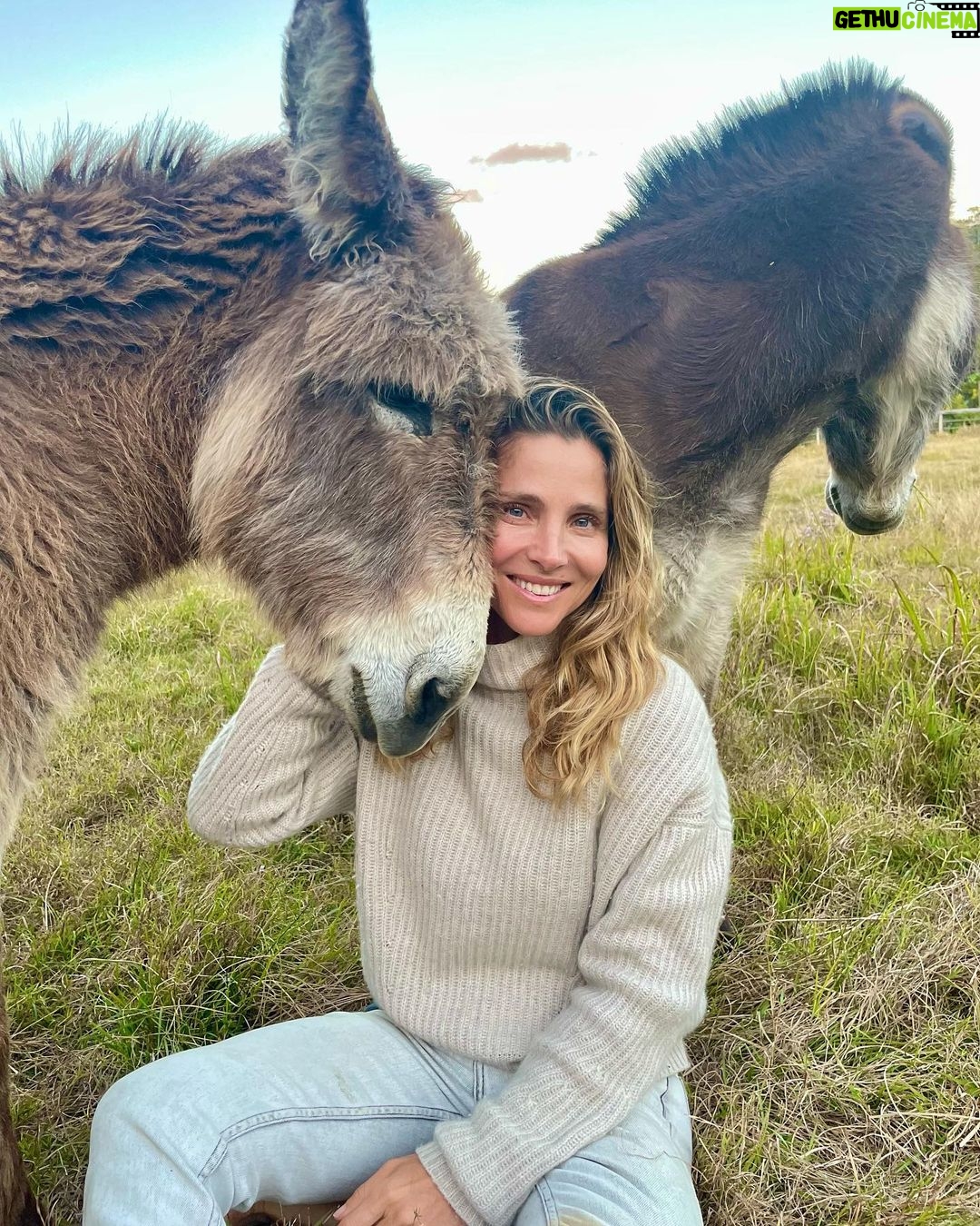 Elsa Pataky Instagram - Our best friends! 🥰 #plateroyyo still my favourite book! / Platero y yo todavía mi libro favorito!