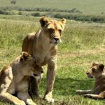 Elsa Pataky Instagram – One or my favourites place in the world! I always dream of Africa. @africa.born @samstogdale