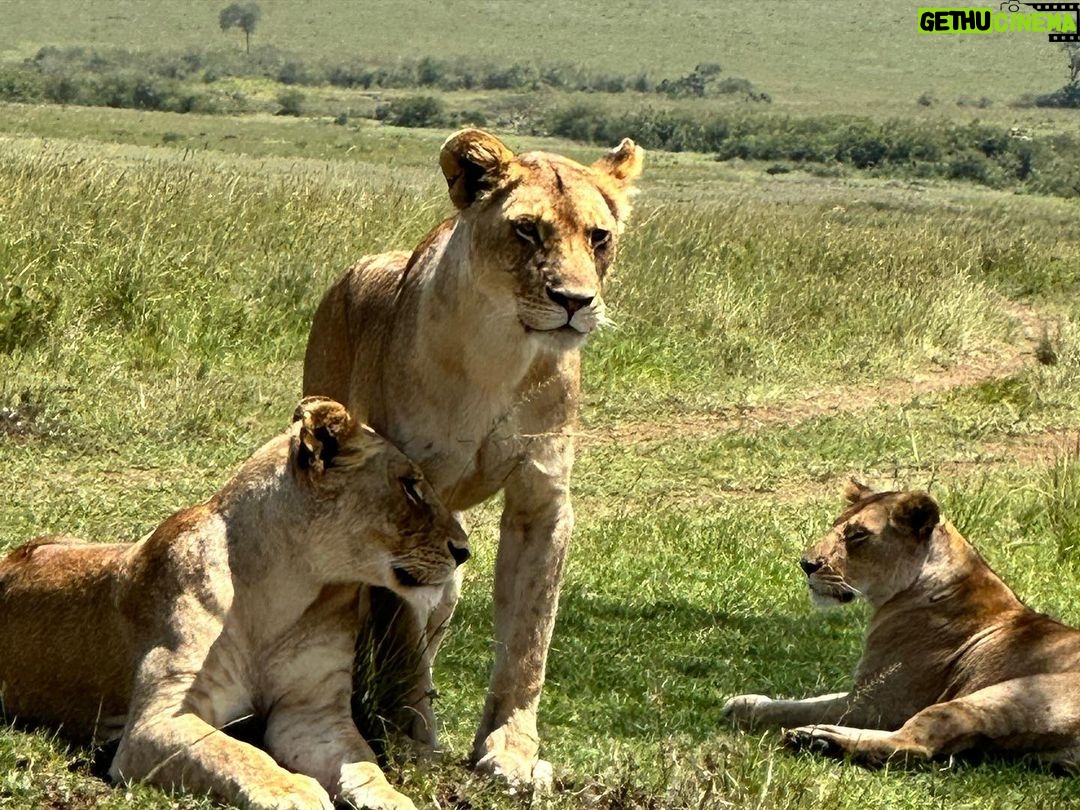 Elsa Pataky Instagram - One or my favourites place in the world! I always dream of Africa. @africa.born @samstogdale