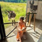 Elsa Pataky Instagram – Quiet afternoons at our little art studio. Donkey painted by Indi. 😉 Tardes de relax en nuestro pequeño estudio de arte. Burrito pintado@por Indi. 😉@gioseppo_official