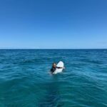 Elsa Pataky Instagram – Fiji family adventures 💛 @tavaruaislandresort @chrishemsworth