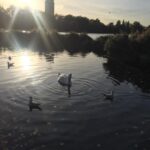Elvin Aydoğdu Instagram - #nofilter #london #infantducksandthemother #sunshine