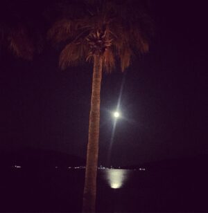 Elvin Aydoğdu Instagram - Full Moon @marmarisbegonvillebeachhotel 🌑 #begonvillebeachhotel