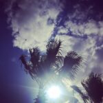 Elvin Aydoğdu Instagram - #seferihisar #izmir