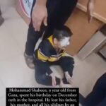 Eman El Assi Instagram - He spent his birthday with a severe eye injury and the news of being an oprhan. This is a genocide. Ceasefire now. @salmakaddoumi