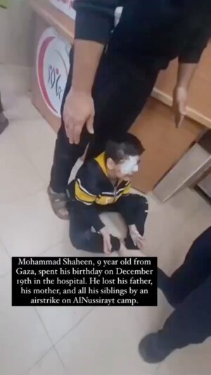 Eman El Assi Instagram - He spent his birthday with a severe eye injury and the news of being an oprhan. This is a genocide.
Ceasefire now.
@salmakaddoumi