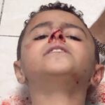 Eman El Assi Instagram - Look at this boy, how he trembles and is terrified . 💔