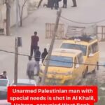 Eman El Assi Instagram - Unarmed Palestinian man with special needs is shot in Al Khalil, Hebron, occupied West Bank. An unarmed Palestinian man with special needs, is shot point blank by Israeli occupation officers in Southern Hebron. #FreePalestine Via @cravingpalestine