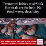 Eman El Assi Instagram - Oooh Sorry you’re tired of seeing it ?? They’re tired of living it 💔 Premature babies of Elshifah hospital they need help from our rulers… helloooooooo can you hear them #freepalestine #gaza 🖤🤍💚🔻 @unitednations @humanrightswatch where are you?????