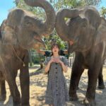 Emi Ōmatsu Instagram - タイの写真！ ぞうさんともお写真撮らせてもらいました🐘 3枚目からはゾウさんからキスのプレゼントでーす！てゆわれたけど なんか謎の液体かけられた