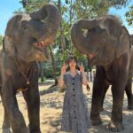 Emi Ōmatsu Instagram - タイの写真！ ぞうさんともお写真撮らせてもらいました🐘 3枚目からはゾウさんからキスのプレゼントでーす！てゆわれたけど なんか謎の液体かけられた