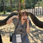 Emi Ōmatsu Instagram - タイの写真！ ぞうさんともお写真撮らせてもらいました🐘 3枚目からはゾウさんからキスのプレゼントでーす！てゆわれたけど なんか謎の液体かけられた