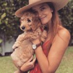 Emily Baldoni Instagram - Slide for @happybaldoni 2.0 👉⁣ Happy belated International Dog Day Happy! ⁣ ⁣ -You’ve bitten us bloody⁣ -We’ve already had to take you to the ER because you swallowed a sock which they made you throw up⁣ -I’ve caught your diarrhea in aluminum foil in the middle of the night and in the early morning hours while the sprinklers turned on 😖⁣ -You can be incredibly annoying and we’ve been very close to finding you another family (🤷‍♀️)⁣ -I tried to take a cute picture of us on the floor for this post but you started humping your bed instead⁣ ⁣ Truth is that getting you during a global pandemic while quarantined with two little kids was the stupidest idea we’ve ever had. BUT, you’re also damn cute, sweet, smart, getting cuddlier every day and those damn puppy teeth are finally gone 🙌🏼 ⁣ PS: This post is not a call for help or puppy advice, we have more than we need. Don’t worry, we’re keeping him and he is a very happy and thriving dog.⁣ ⁣ PPS: You may want to check in on me though from time to time...