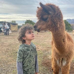 Emily Baldoni Instagram - 😂🥰

Repost from @justinbaldoni
•
Maxwell and Nathan. A love story in three acts. 
👉🏼 👉🏼👉🏼

#hairtwins #dearmaxwell #animalrescue #happysunday #threeyearsold

*Also check out the great work @thelittlefarminojai is doing. They are a non profit animal sanctuary saving abused and neglected animals.