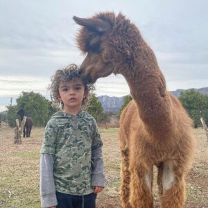 Emily Baldoni Instagram - 😂🥰

Repost from @justinbaldoni
•
Maxwell and Nathan. A love story in three acts. 
👉🏼 👉🏼👉🏼

#hairtwins #dearmaxwell #animalrescue #happysunday #threeyearsold

*Also check out the great work @thelittlefarminojai is doing. They are a non profit animal sanctuary saving abused and neglected animals.