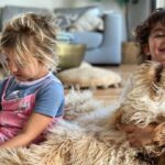 Emily Baldoni Instagram - California babies. ⁣ 3 peas in a pod. ⁣ Hair that some of us pay hundreds of $$$ to have.⁣ ⁣ (Fun fact: I showed a picture of my kids last time I got my hair done and said, I want what they have. Maybe next time I’ll show a picture of our dog...)⁣ ⁣ #golden ⁣ #dearmaiya #dearmaxwell @happybaldoni
