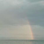 Emily Cox Instagram - Lake Constance, you are gorgeous ! What a great place for a holiday. I will definitely come again. For those of you, who asked me: Here are a few of the recommendations that I got from you, that I tried,and that I found awesome..thank you all so much for your many Tips! ❤️ 1) Eat at „Bacchus“ in Meersburg - best food ever! 2)go to the flower island Mainau 3) Take a boat to Schaffhausen and then go and see the „Rheinfall“ 4)Visit the „Münster“ in Konstanz and see the old Krypta 5) Have Pizza and Coffee with a view at Fährhaus in Meersburg 6) Icecream at Dolomiti in Konstanz #travel @bodensee.de #lakeconstance #actorontherun #thelastkingdom #valhalla