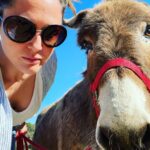 Emily Cox Instagram - Mila and friends ❤️. @burroseartes #donkeyshelter #18saveddonkeys #love #aljezur