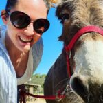 Emily Cox Instagram - Mila and friends ❤️. @burroseartes #donkeyshelter #18saveddonkeys #love #aljezur