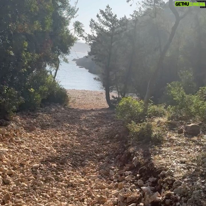 Emily Cox Instagram - KEFALONIA • GREECE These are my Recommendations, based on your Recommendations- thank you so much for showing me your favorite Places❤️! If you ever get to Kefalonia, don’t miss: Video 1: AGIA EFIMIA sweet little village, perfect spot to live and from where to explore the island. Loads of lovely Tavernas, small beaches (Paradise Beach!) for a quick cool down. Video 2: DAFNOUDI BEACH Lovely cove, you can get to it by walking through the woods for about 15 minutes. In high season go in the morning- it was EMPTY when we went there☺️. Photo 3 and Video 4: SEA ROCK CAFE in Agia Efimia @sea_rock_ws10 SO relaxing Taverna to hang out in, have Lunch, Dinner, or Coffee there- you won’t regret it☺️. Photo 5: Have delicious Breakfast in the mountains in Rosie‘s Cafe! @_rosiescafe_ Photo 6&7:The best dinner we had on the island while you watch the sun go down at „Alati“ @alati_all_day_bar_restaurant Photo 8&9: Simply Beautiful Myrtos Beach!! I hope you will enjoy Kefalonia as much as I did, when you get there! ☀️ Find even more about Kefalonia in my Story Highlights! #no ad, just beautiful, fun and delicious! @visitgreecegr @kefalonia.official @kefalonia__island @kefalonia__greece