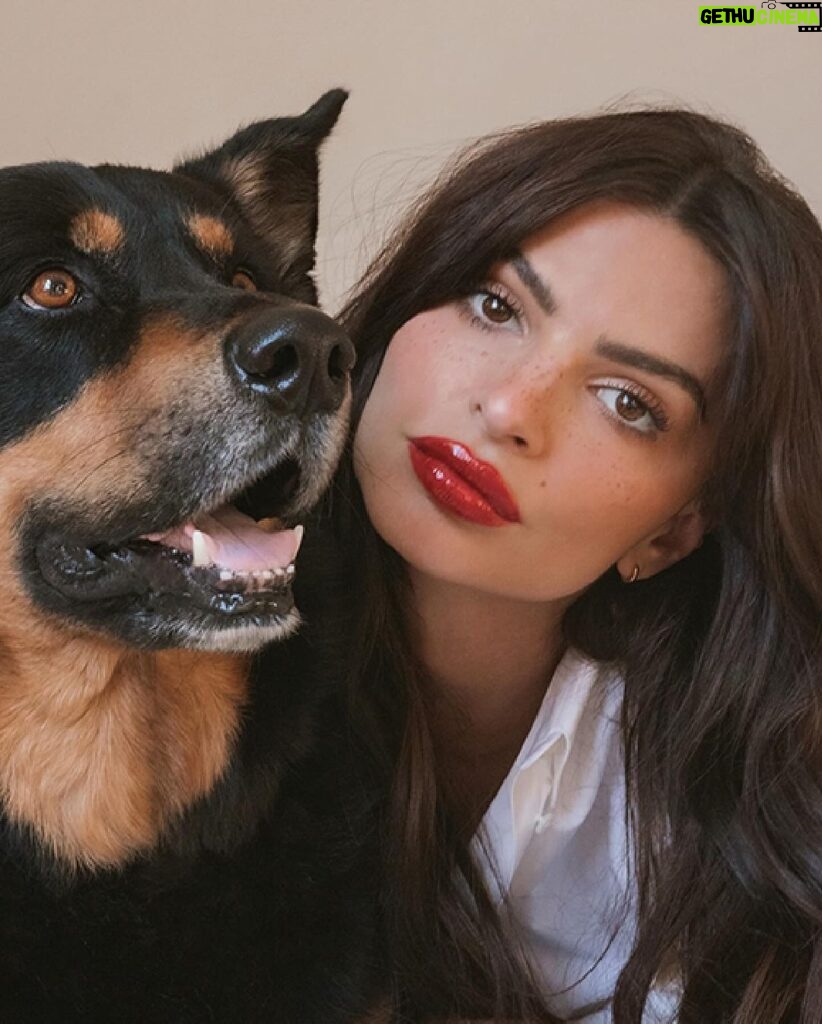 Emily Ratajkowski Instagram - Zero animals harmed. One perfect red.   Hourglass is proudly cruelty-free and committed to supporting animal welfare in beauty and beyond.   Emily Ratajkowski, featured with Colombo, wears: Unlocked Soft Matte Lipstick in Red 0 Phantom Volumizing Glossy Balm in Thrill   #ZeroAnimalsHarmed