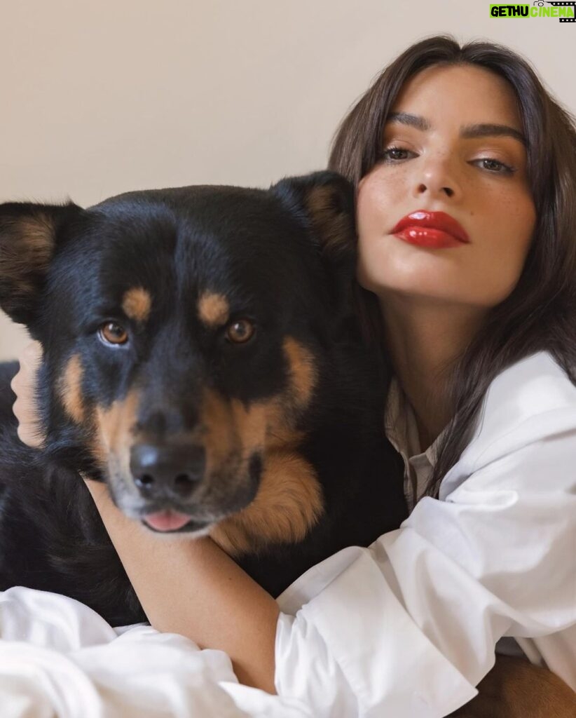 Emily Ratajkowski Instagram - Zero animals harmed. One perfect red.   Hourglass is proudly cruelty-free and committed to supporting animal welfare in beauty and beyond.   Emily Ratajkowski, featured with Colombo, wears: Unlocked Soft Matte Lipstick in Red 0 Phantom Volumizing Glossy Balm in Thrill   #ZeroAnimalsHarmed