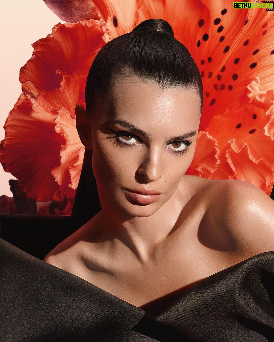 Emily Ratajkowski Instagram - Let out your wild side with Flowerbomb Tiger Lily
@viktorandrolf_fragrances #ViktorAndRolf #ViktorAndRolfFragrances #FlowerbombTigerLily Shot by: @anthonyarquier