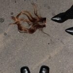 Emma Chamberlain Instagram - WHAT A MESS Paris, France