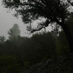 Emma Chamberlain Instagram - 🏡