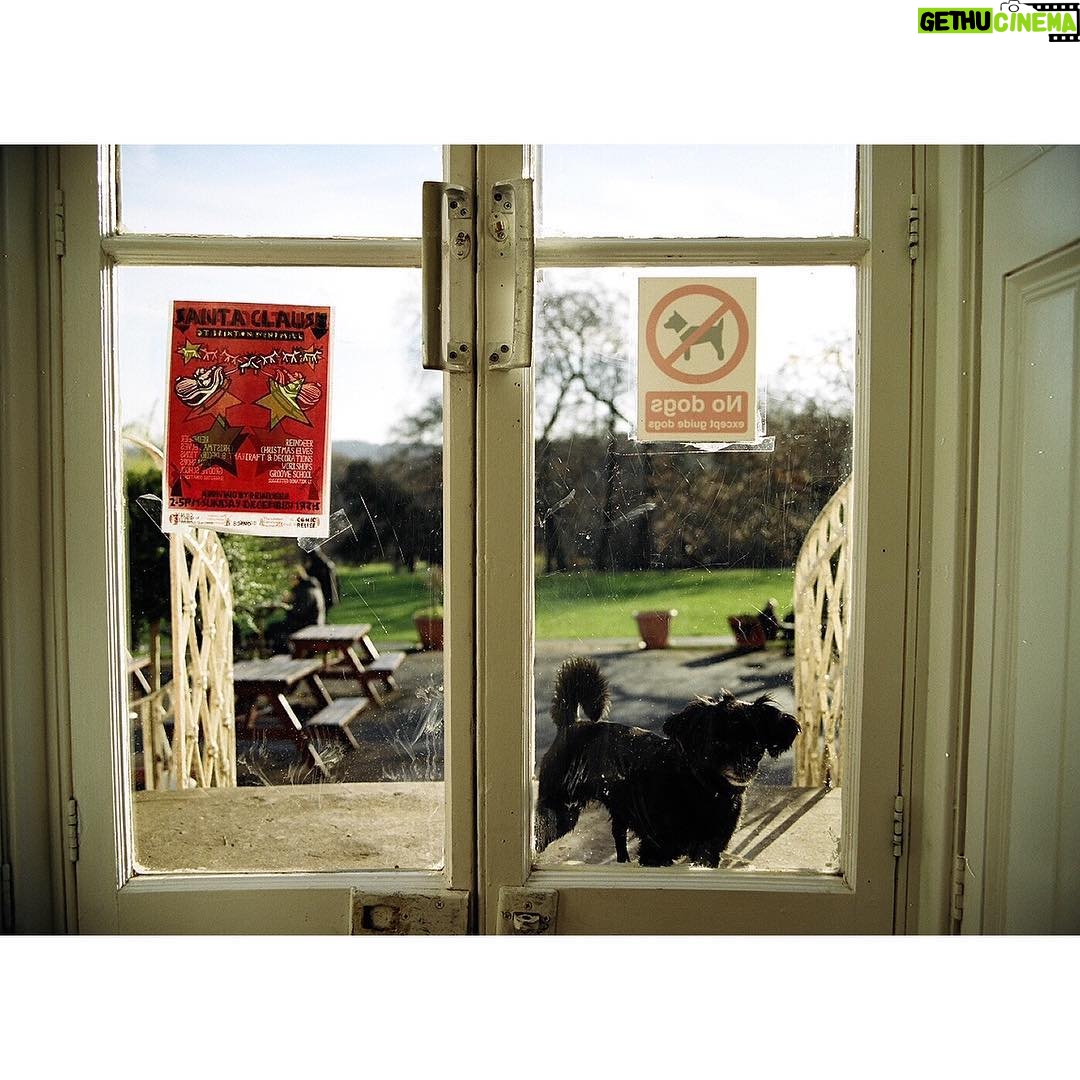 Emma Greenwell Instagram - Brockwell Park