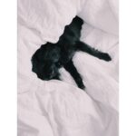 Emma Greenwell Instagram -