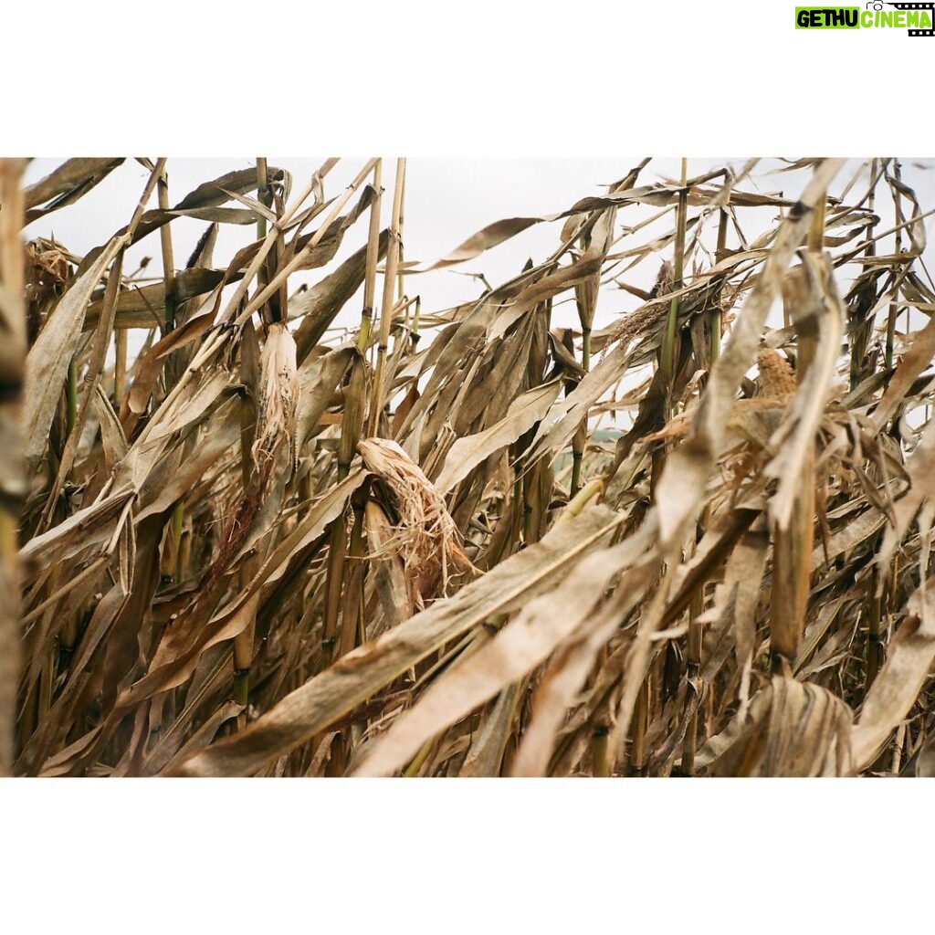 Emma Greenwell Instagram - 🌾🐖🌾 The End of the World