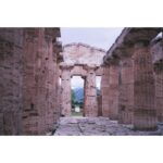 Emma Greenwell Instagram - postcard from paestum Paestum