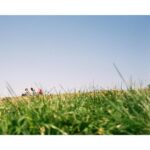 Emma Greenwell Instagram - Brockwell Park