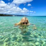 Emma Meisel Instagram - I’ve been staring at edge of the WATER Waimea Valley and Falls