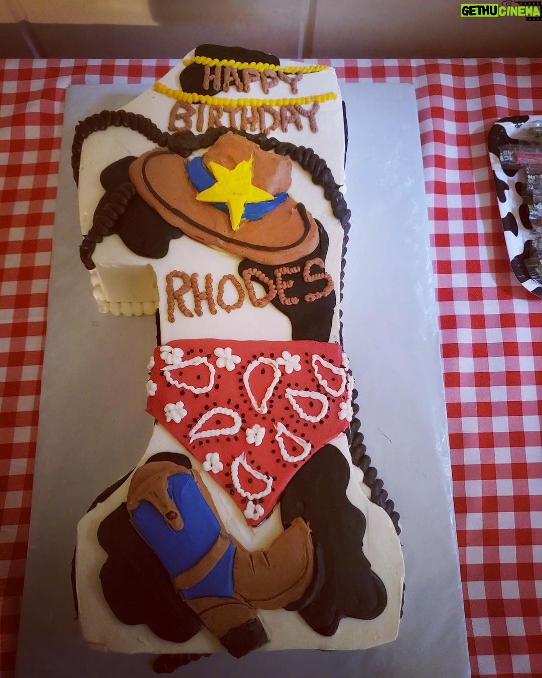 Emma Roberts - 633.3K Likes - Happy Birthday Rodeo! Frosting in my hair and @thebeatbuds stuck in my head. Loved every second of it ā¤ļø I love you Rhodes ā¤ļø