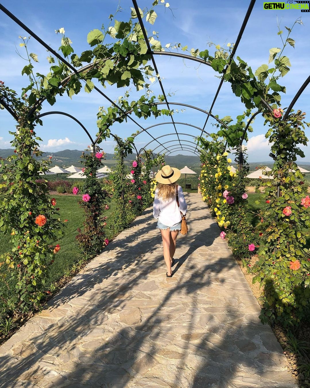 Emmy Buckner Instagram - Tuscany pt. 2 🥂 Dreamland