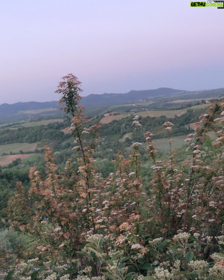 Emmy Buckner Instagram - Tuscany pt. 2 🥂 Dreamland
