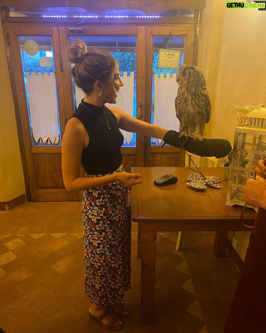 Emmy Buckner Instagram - Take me back to Tuscany pt. 1 🍷 Tuscany, Italy