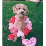 Emmy Buckner Instagram - Held on to this vday wreath 7 years for this 💝