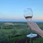 Emmy Buckner Instagram - cheers my dears, xoxo Siena, Toscana, Italy