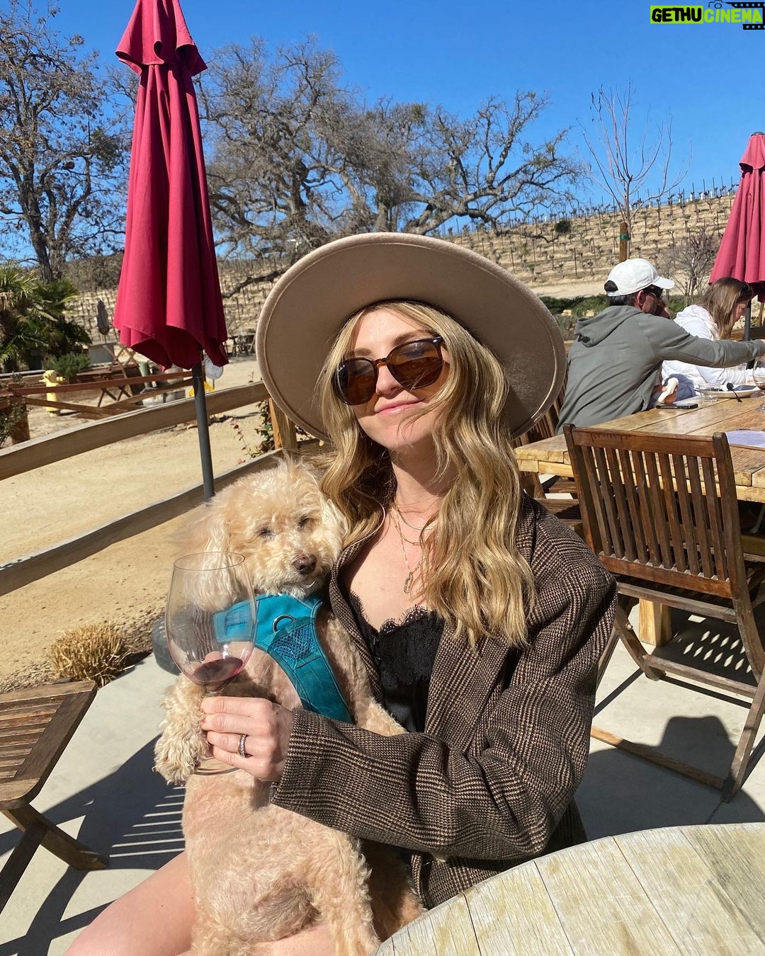 Emmy Buckner Instagram - My OG 🐶 Cass Winery